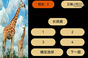 倚剑凝天游戏下载